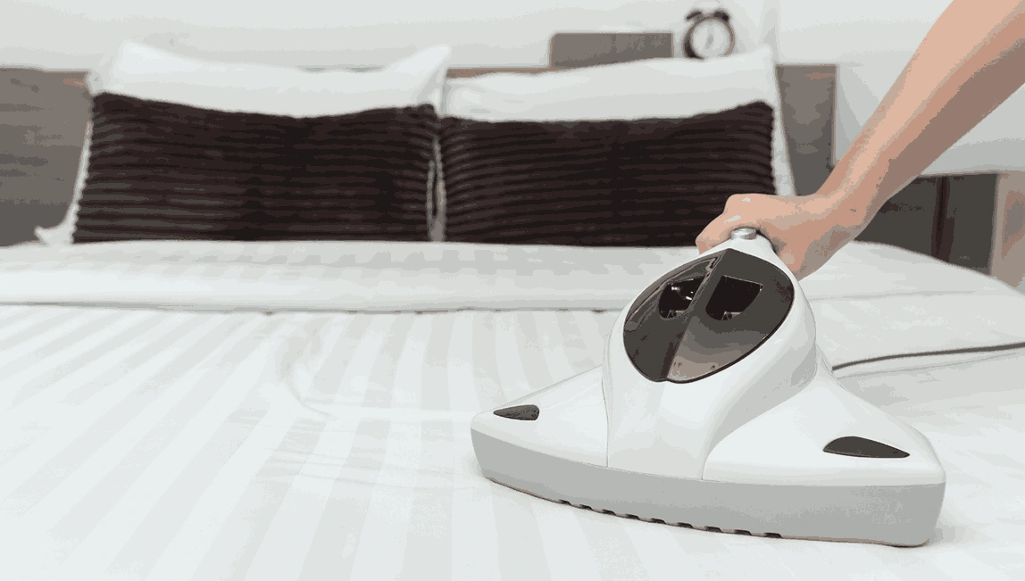 Professional Mattress Cleaning Mckinnon
